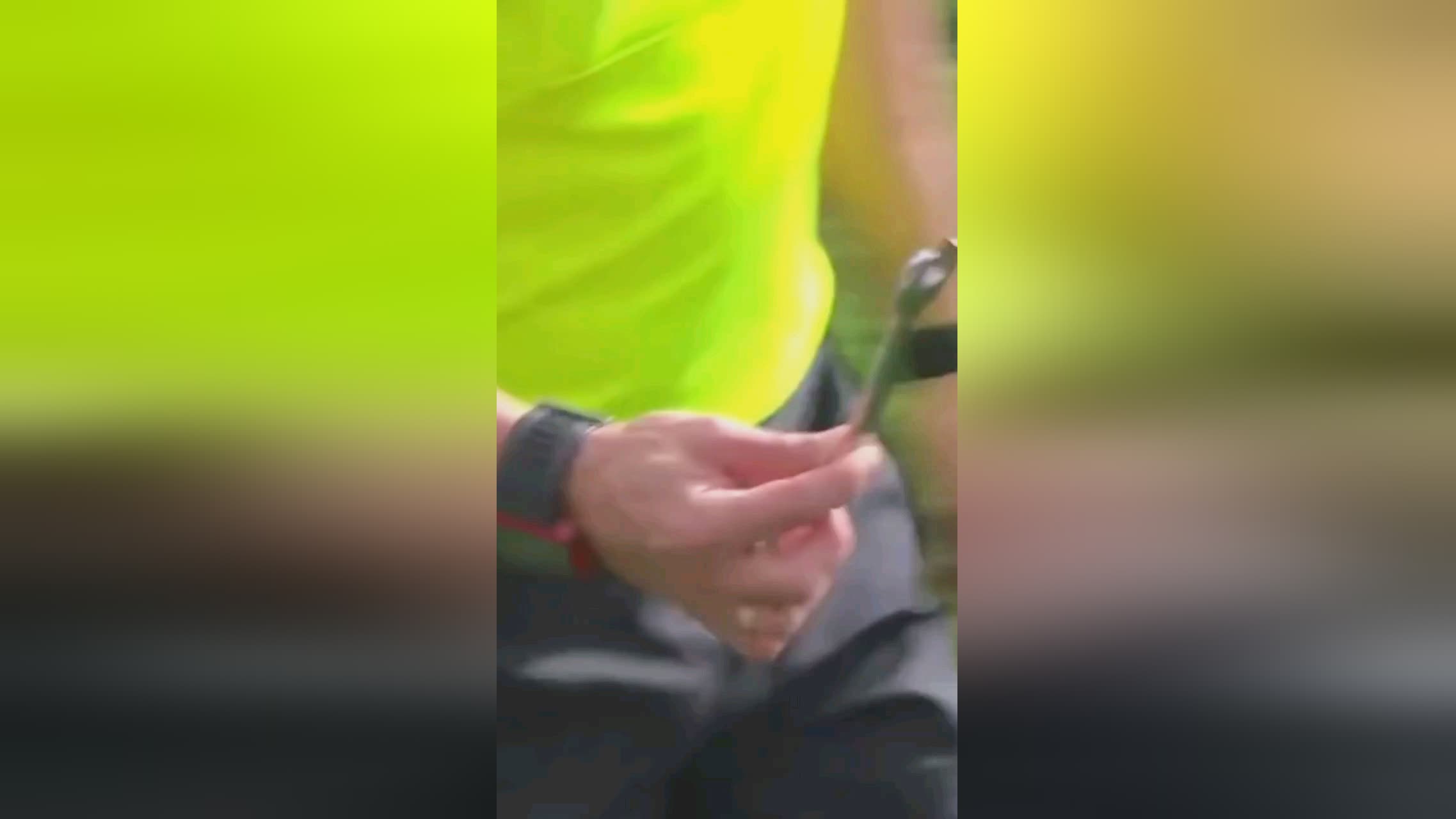 以追求完